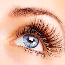 Cheap lash extensions Airport West